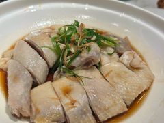 -山东老家(科韵分店)