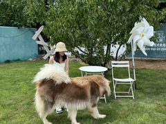 -趣玩宠物乐园寄养训犬训狗游泳池