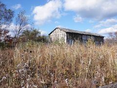 -白草畔自然风景区