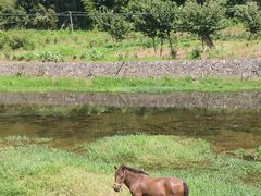 -新安江山水画廊风景区