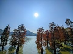 -顺峰山公园