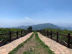 -北京鹫峰国家森林公园