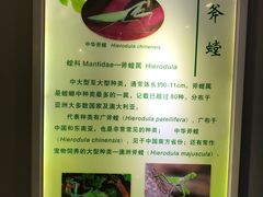 -上海昆虫博物馆