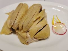 -新吉士·上海菜(浦东LCM置汇旭辉店)