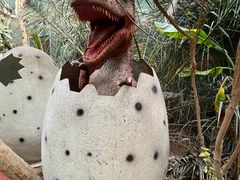 -呀路古热带植物园