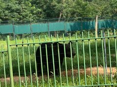-秦皇岛野生动物园