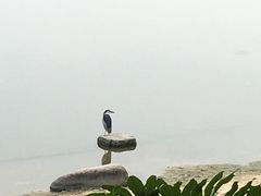 -美兰湖景区
