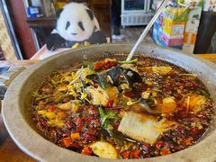 麻辣石锅鱼-沣峪鱼庄