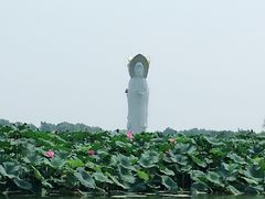 -白洋淀景区
