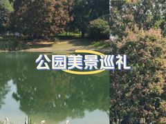 -解放公园
