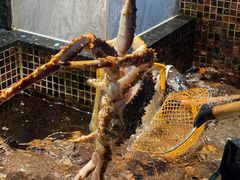 -海鲜e族(马王堆店)