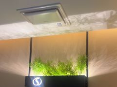 -华夏良子·足道SPA艾灸(王府井店)
