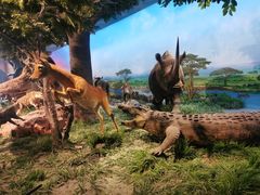 -国家自然博物馆