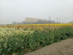 -中国天府农业博览园