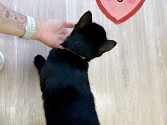 -源瑞康盲人推拿(尹山湖店)