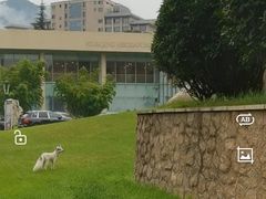 -长安先导国际创新人才交流中心