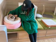 -滚猫咖啡·猫咖·猫友好撸猫(未来城店)