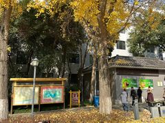 -莲湖公园