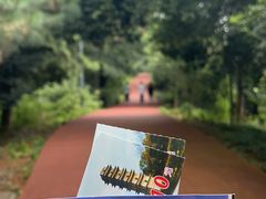 -敬亭山风景名胜区