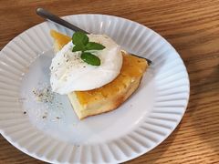 -猫里有甜