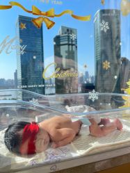 点击看大图 -巍阁高端月子会所