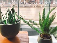 -半山腰·云南菜(侨福芳草地店)
