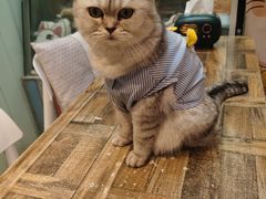 -小时光咖啡馆(北锣鼓巷店)