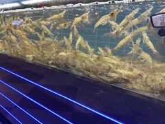 -0048鲜活香辣虾·火锅(铜陵路店)