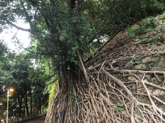 -中山公园(石岐街道)