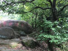 -灵岩山风景区