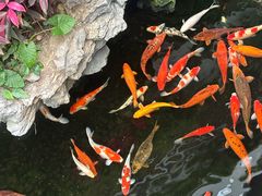 -广州白天鹅宾馆