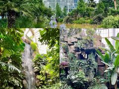 -昆明植物园