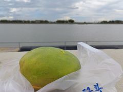 -南沙十九涌渔人码头-南门