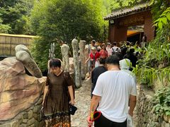 -将军关探险漂流