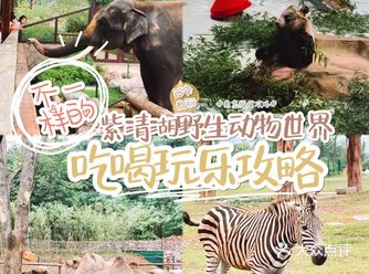 南京紫清湖野生动物世界出炉新攻略！超全！