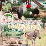 南京紫清湖野生动物世界💕出炉新攻略！超全！