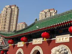 -天津大悲禅院