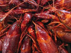 -冶建镜子·老南昌大排档·江西虾王(总店)