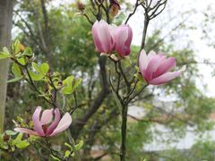 -广东外语外贸大学(白云山校区)