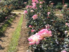 -人民公园(罗湖区)