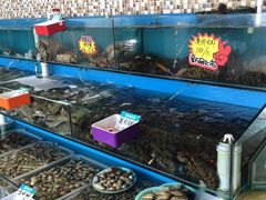 水产区-港畔赶海蒸汽海鲜烧烤自助(仙螺岛店)