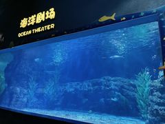 -郑州海洋馆