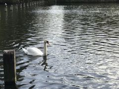 -海德公园
