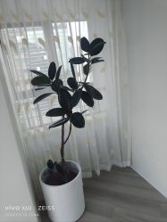 -HEYAN荷妍专业脱毛连锁机构