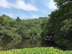 -天目湖山水园