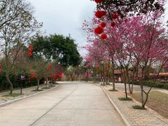 -五龙客家风情园