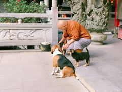 -华林禅寺
