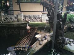 -优之名鹅城