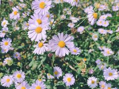 -食武士·舒芙蕾(新街口明瓦廊店)