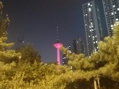 -辽宁电视塔